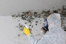 Best Biohazard Mold Removal  in Montour Falls, NY